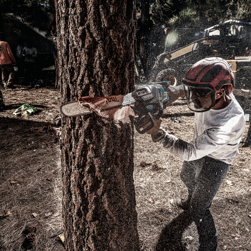 Makita GCU08E Action Shot 8 (FRM Arborist) - Thumbnail