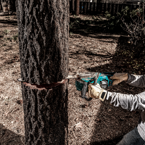 Makita GCU08E Action Shot 10 (FRM Arborist) - Thumbnail