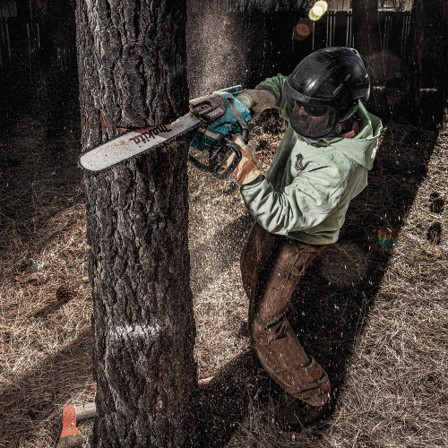 Makita GCU08E Action Shot 1 (FRM Arborist 2) - Thumbnail
