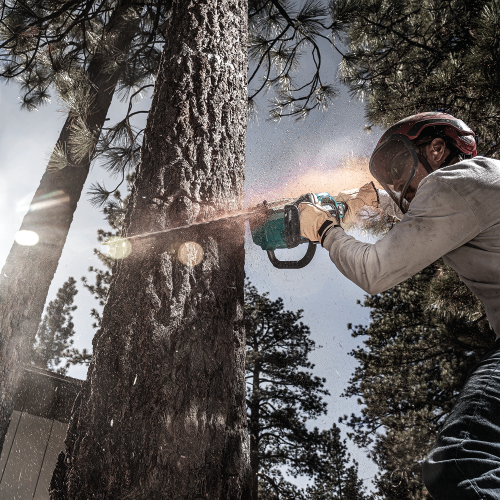 Makita GCU08E Action Shot 7 (FRM Arborist) - Thumbnail