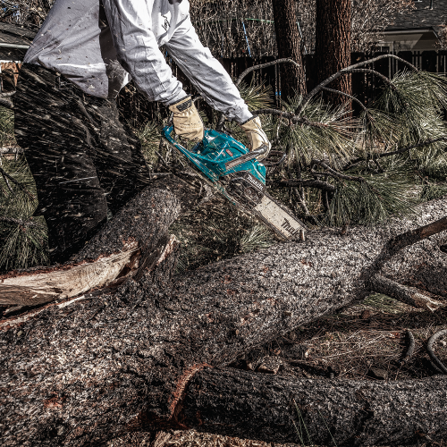 Makita GCU08E Action Shot 3 (FRM Arborist) - Thumbnail