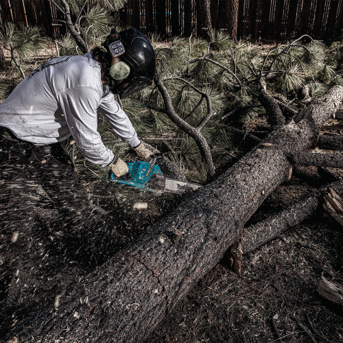 Makita GCU08E Action Shot 4 (FRM Arborist) - Thumbnail